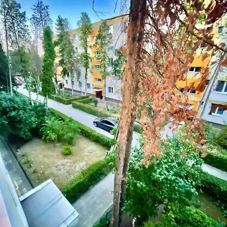 Lucas's Cozy Kolozsvár