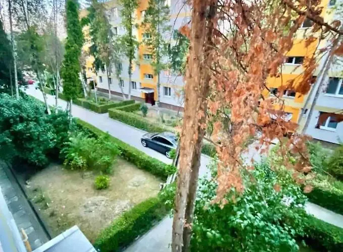 Lucas's Cozy Клуж-Напока